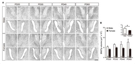 Figure 2 From Temporal Expression Patterns Of Genes Related To Sex