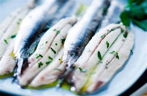 Анчоусы: что это такое, с чем их едят, вкус, рецепты, польза