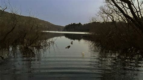 Kinzua Creek Fishing Youtube