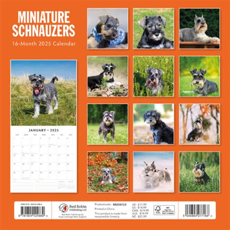 Miniatuur Schnauzer Kalender Kopen Eenvoudig En Snel Online Best