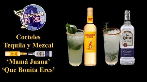 Sorprende A Tus Invitados Descubre Los Mejores C Cteles Con Tequila Y