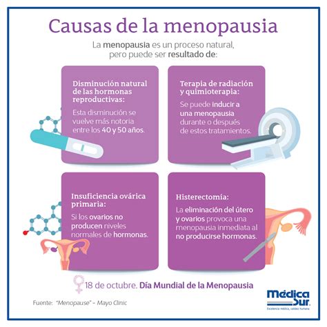 La Menopausia Es Un Proceso Natural Pero ¿qué Otros Factores Pueden