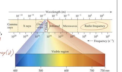 Lesson Wave And Matter Behavior Of Light Flashcards Quizlet