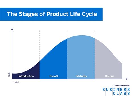 Navigating Product Life Cycle Stages And Examples