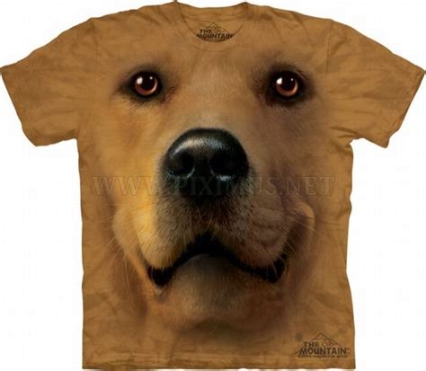 Animals on T-Shirts | Fun