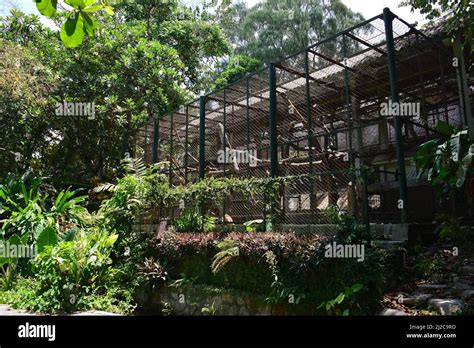 Gembira Loka Zoo, Yogyakarta, Java, Indonesia, Asia Stock Photo - Alamy