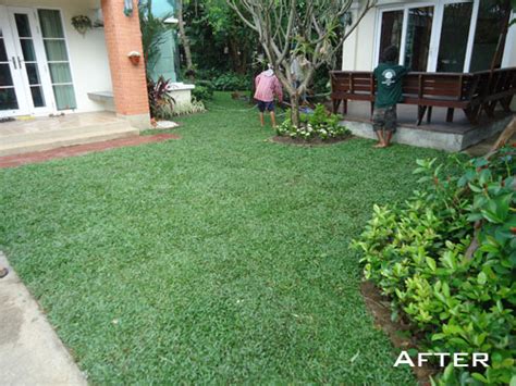 Garden Grass In Thailand Thai Garden Design