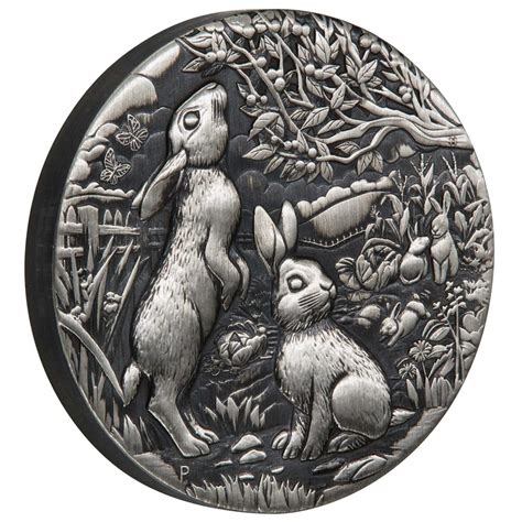 Year Of The Rabbit Oz Silver Antiqued Coin Cointrader Au