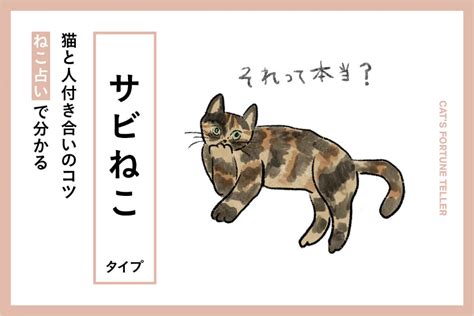 【ねこ占い】 サビねこタイプの猫＆人付き合いのコツと相性は？ ファッション雑誌『リンネル』の読みもの