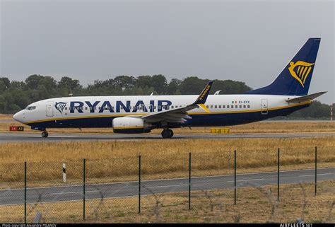 Ryanair Boeing 737 NG Max EI EFE Photo 92197 Airfleets Aviation