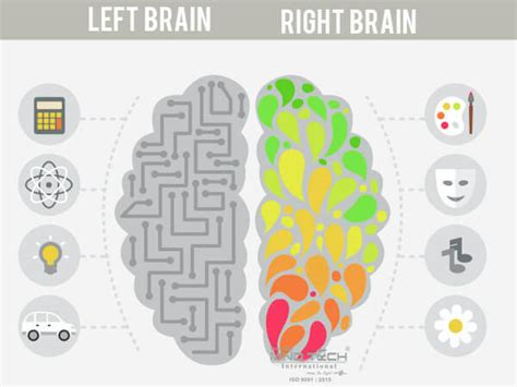 Midbrain Activation