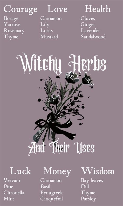 Witchcraft Spells For Beginners, Witchcraft Herbs, Green Witchcraft ...