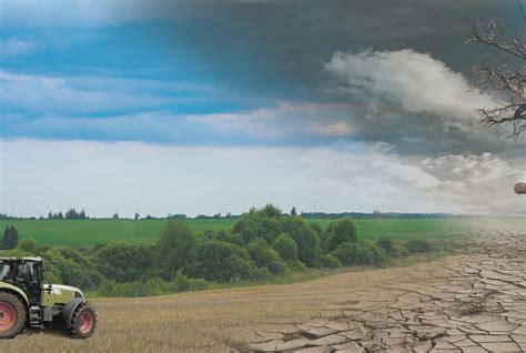 Junge Landwirtschaft Im Klima Wandel Kosoziales Forum