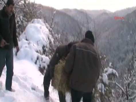 Zonguldak ta Yaban Hayvanları İçin Doğaya Yem Bırakıldı Haberler