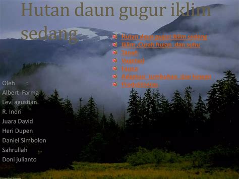 Ciri Ciri Bioma Hutan Gugur 3