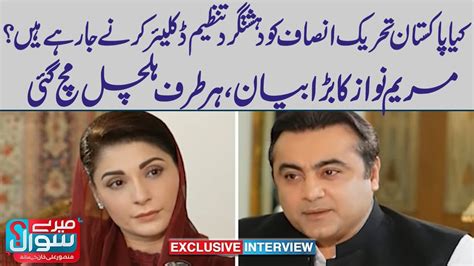 Chief Organizer Pmln Maryam Nawaz Big Statement About Pti Meray