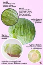 flavorful and easy taiwanese cabbage • The Sound of Cooking