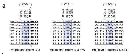 Single cell epigenomics