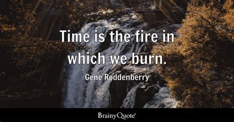 Gene Roddenberry - Time is the fire in which we burn.