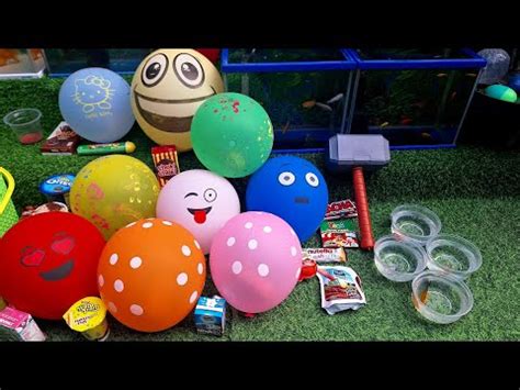 HoRe Meletus Balon Dpt Permen Yupi Kinderjoy Menangkap Ikan Molly