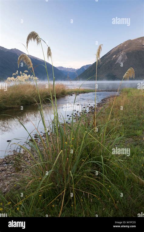 Kerr Bay Lake Rotoiti Nelson Lakes National Park South Island New