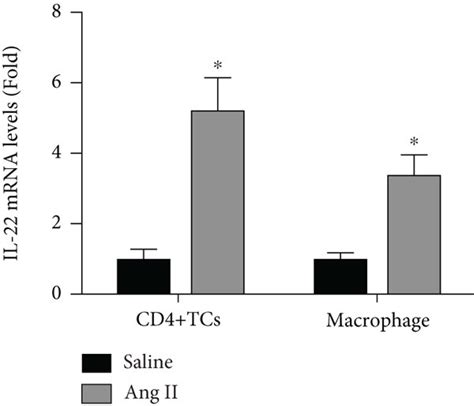 Effects Of Ang II Infusion For 4 Weeks On IL 22 Expression A And B