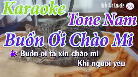 Karaoke Buồn Ơi Chào Mi Boston Tone Nam Rê Trưởng D Quốc Dân