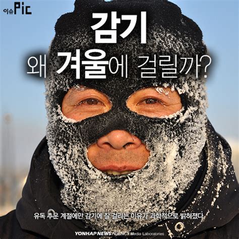 감기 왜 겨울에 걸릴까감기바이러스 저온서 잘 증식 연합뉴스