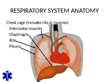 Emt Emr Respiratory Emergencies By Bruce Vincent Tpt