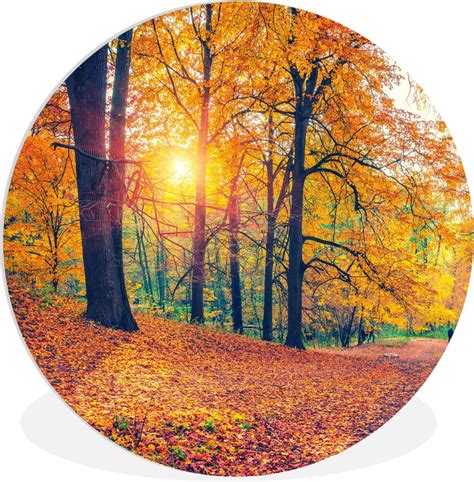 Wall Circle Wall Circle Indoor Arbres Automne Forêt Feuilles