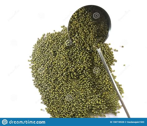 Mung Beans Green Gramm Ganz Hare Moong Stockfoto Bild Von Gramm