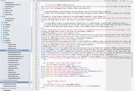 honest review   top   text editors