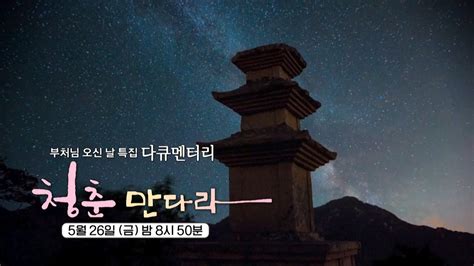 부처님 오신 날 특집 청춘 만다라 예고 청춘들의 첫 템플스테이 이들은 마음의 길을 만났을까요 ＜부처님 오신 날 특집