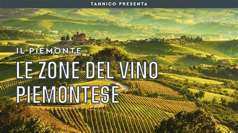 Uno Sguardo Alle Zone Di Produzione Di Vino In Piemonte Tannico