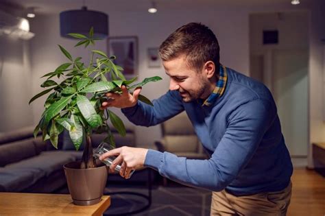 Un hombre regando su planta de interior mientras está parado en casa