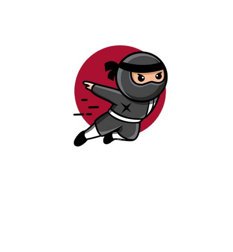 Ninja Spinner – Medium