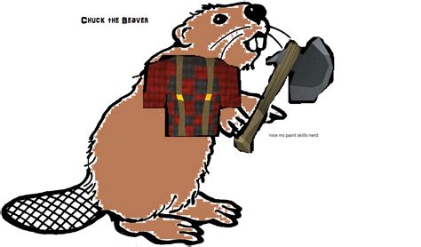 Anyone Else Think The Woodcutting Pet Shouldve Been Something Like