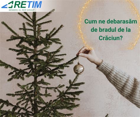 Bradul de Crăciun trebuie dus la unul dintre cele patru puncte de