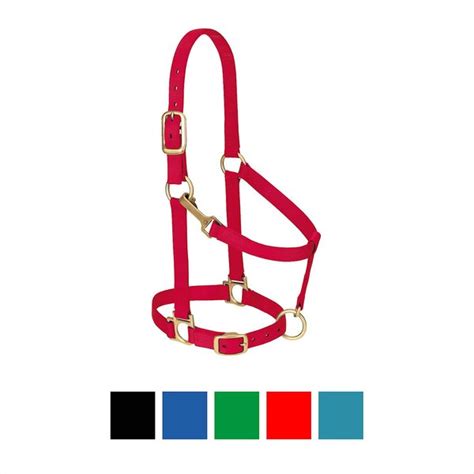 Weaver Leather Original Adjustable Nylon Horse Halter Blue Small