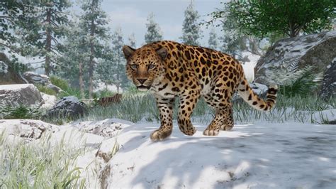 Planet Zoo On Twitter At The Start Of The 21st Century Amur Leopards