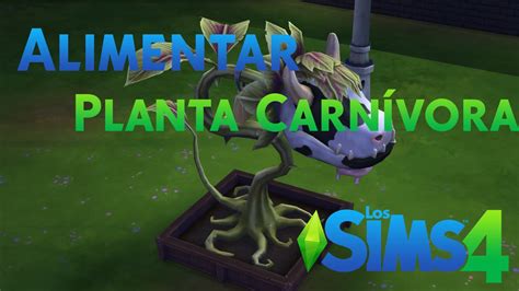 Los Sims C Mo Alimentar Planta De Vaca Carn Vora Youtube