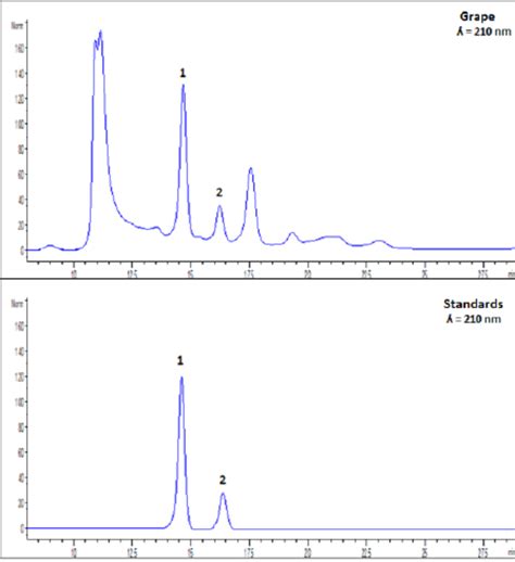 Hplc Dad Chromatograms Of Organic Acids Recorded At 210 Nm 1 Tartaric Download Scientific