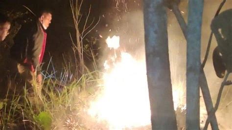 Lahan Terbakar Di Peusangan Petugas Damkar Dan Warga Berjibaku