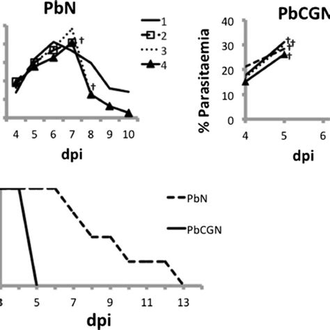 Parasitaemia And Survival Profiles Of P Berghei Anka Infected Balbc Download Scientific