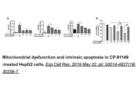 Apexbio Etoposide Topo Ii Inhibitor Cas