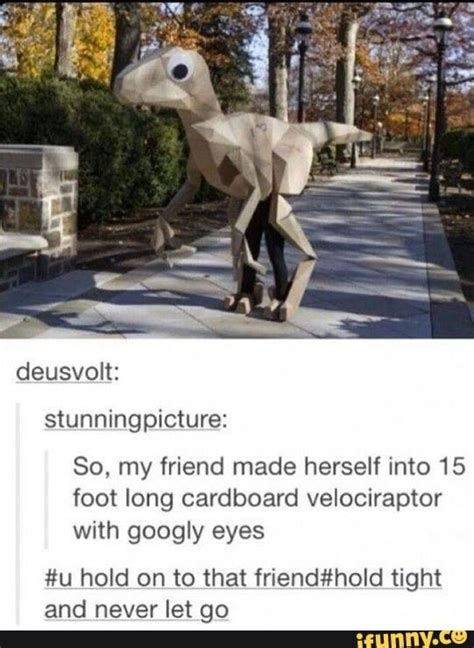 Velociraptor Memes Tumblr Funny Funny Tumblr Posts