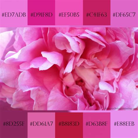 Shades Of Pink And Names With Hex Rgb Color Codes