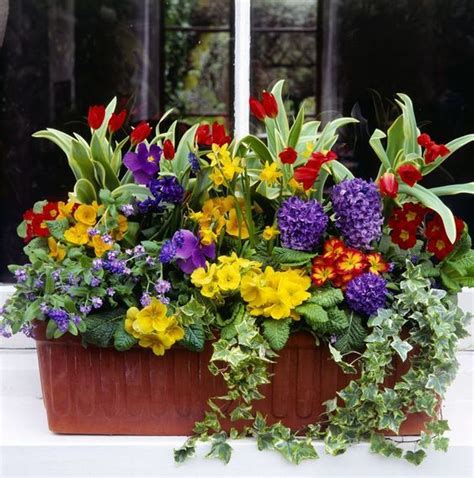 Ready For Spring 14 Pretty Window Box Ideas Window Box Flowers Container Flowers Flower Boxes