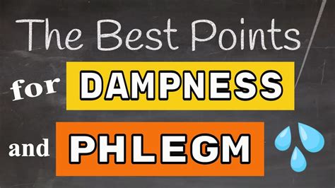 Best Acupuncture Points For Dampness And Phlegm Youtube