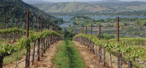 First-Time Visitor’s Guide to Lake County Wine Country - NapaValley.com